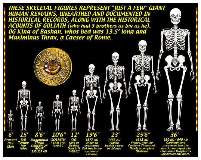 giant_skeletons_chart