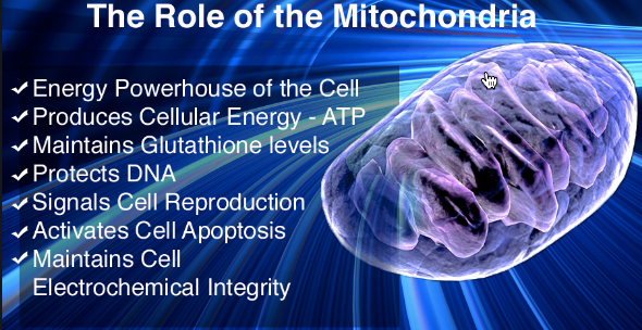 ketogenic_diet_benefits_mitochondria_energy_heads_up_health