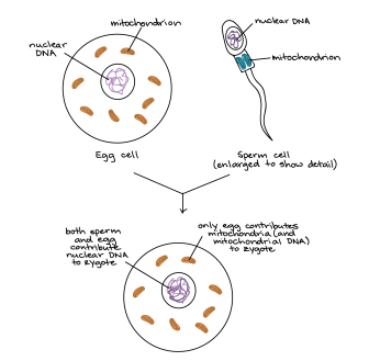 f1c5c2db811d34d1b067f007946b237a357f1577