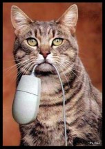 5642795341_4da16b84cf