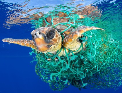 ocean-plastic-pollution
