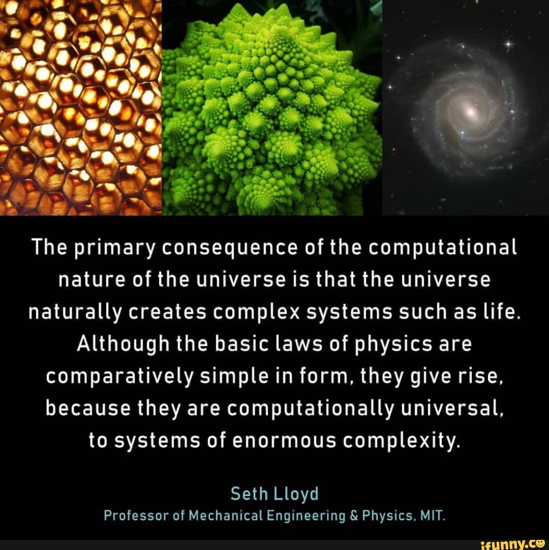 d03e94e5a24dd5fe310c9951c1cc971a5735430498d05e0082069ddbf70a6321_1