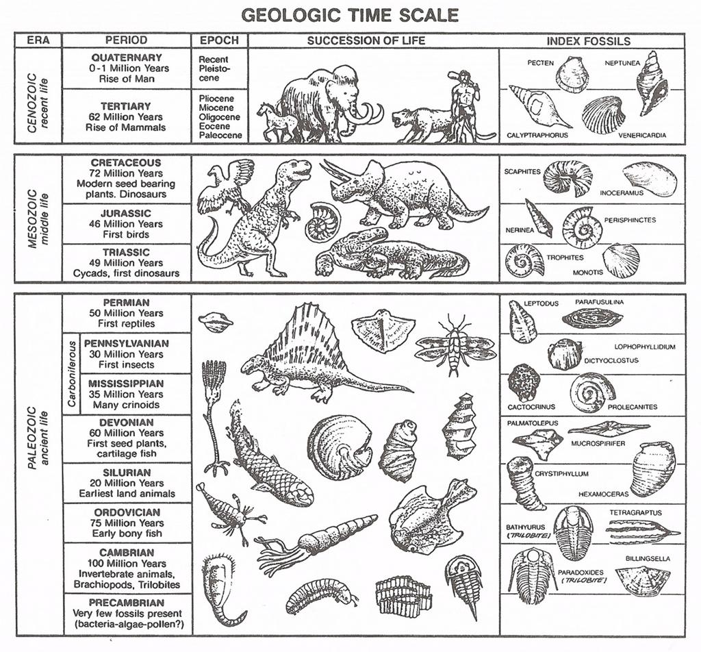 geologic20time20table