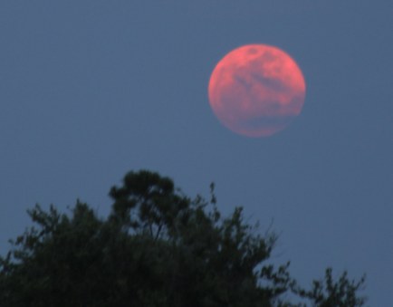 7146960693_89cef3c1d9_b