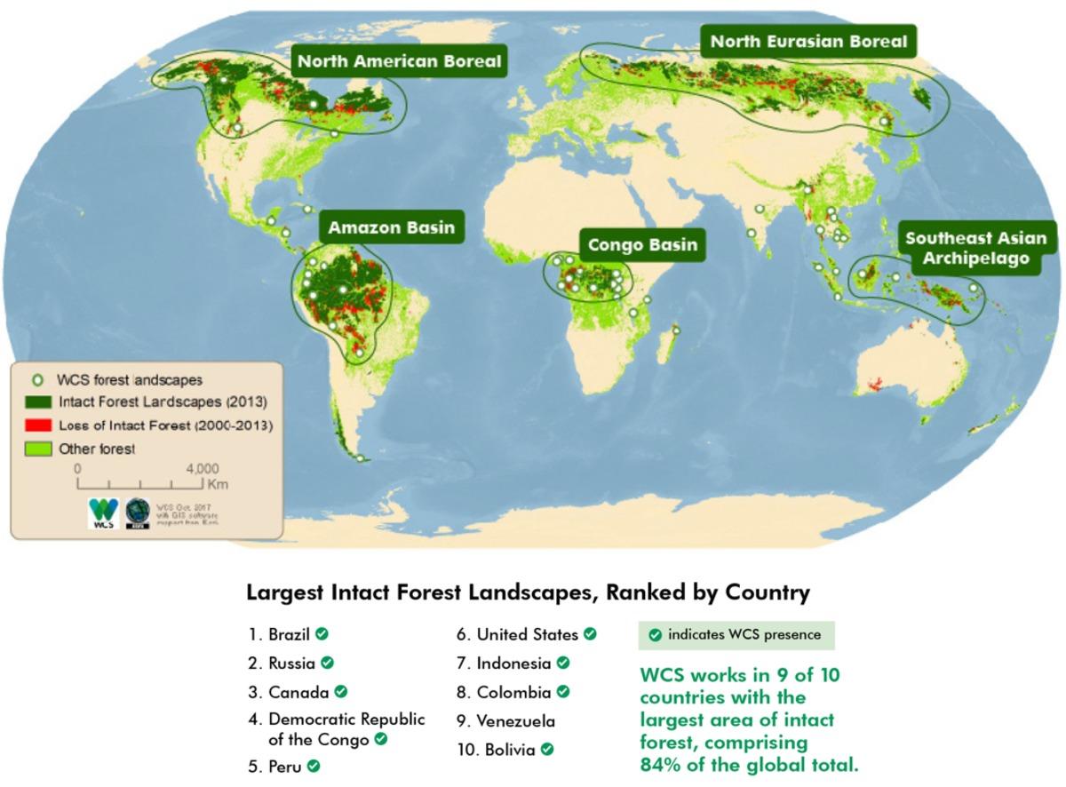 78skgh0014_6y63r9v5zc_forest_map