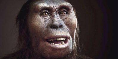 2dce81719ac5efca530deeb123446ab4-australopithecus-human-evolution