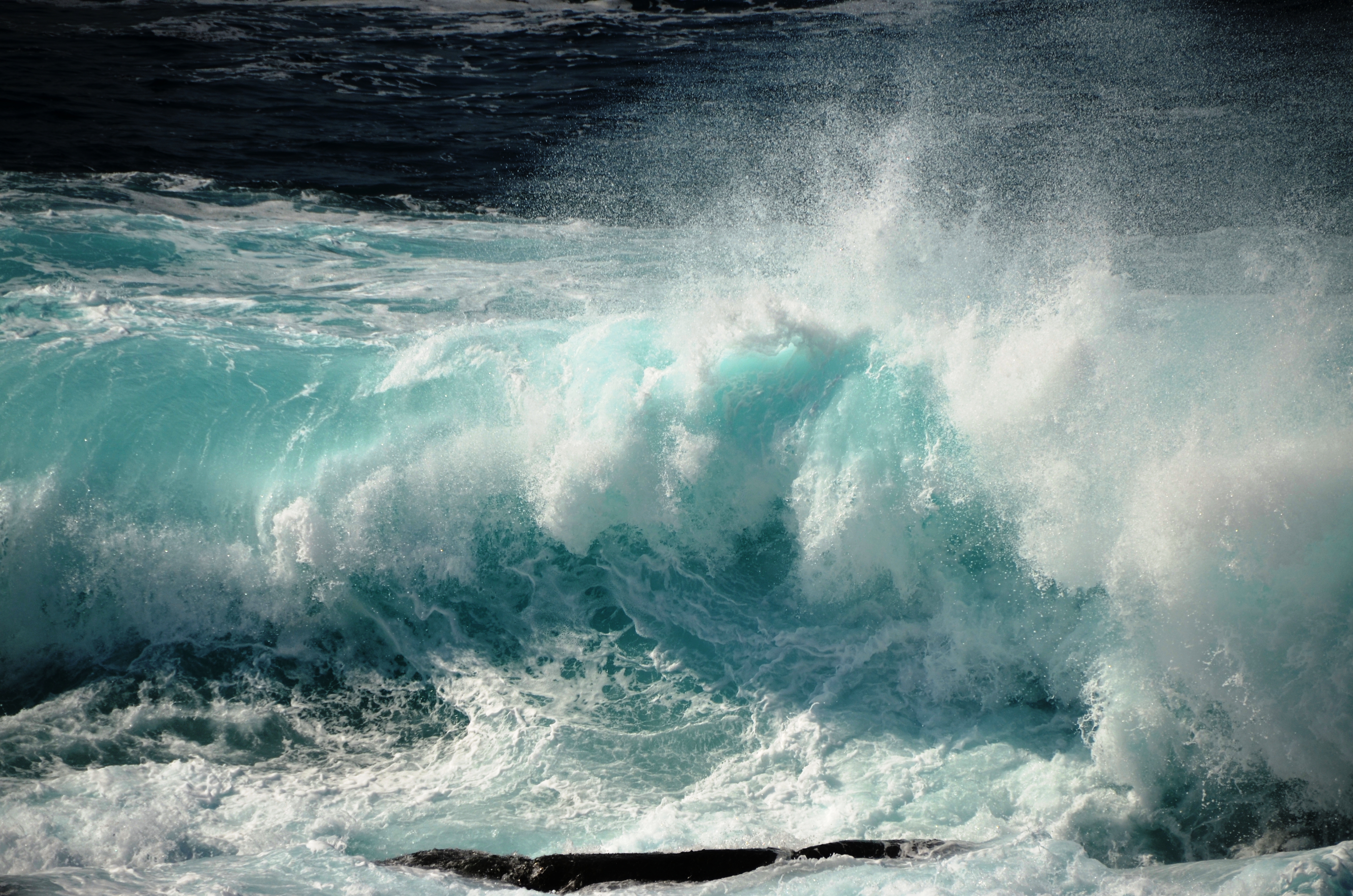 pexels-photo-2387607