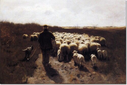 e8575b7a001507964a31b7dafabe58d2