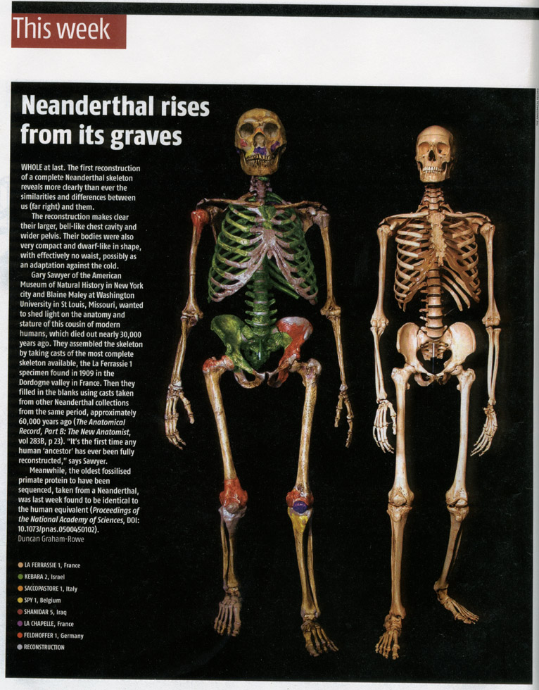 neanderthal