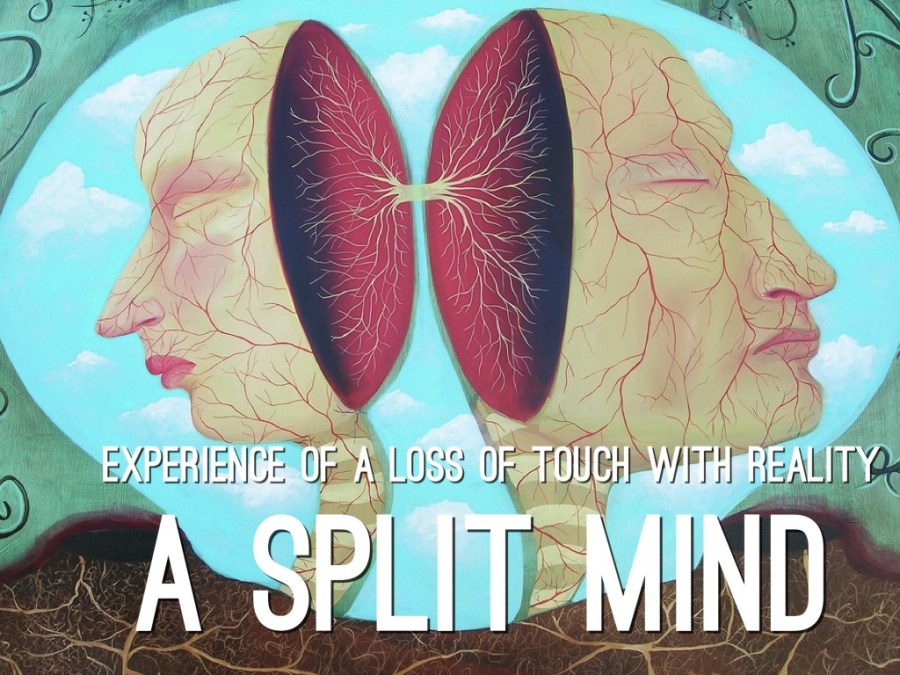 SECTION XXXVI: The Schizophrenic&nbsp;Church