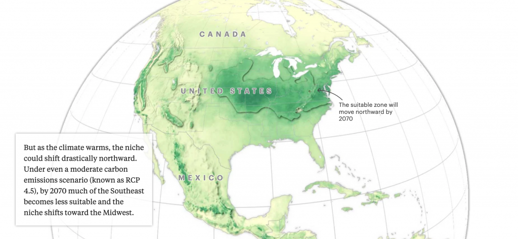 screen-shot-2020-09-16-at-2.00.51-pm-1024x472-1