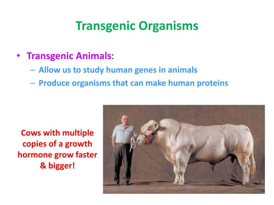 283) The Beast From The Earth Is A Transhuman (Rev&nbsp;13)