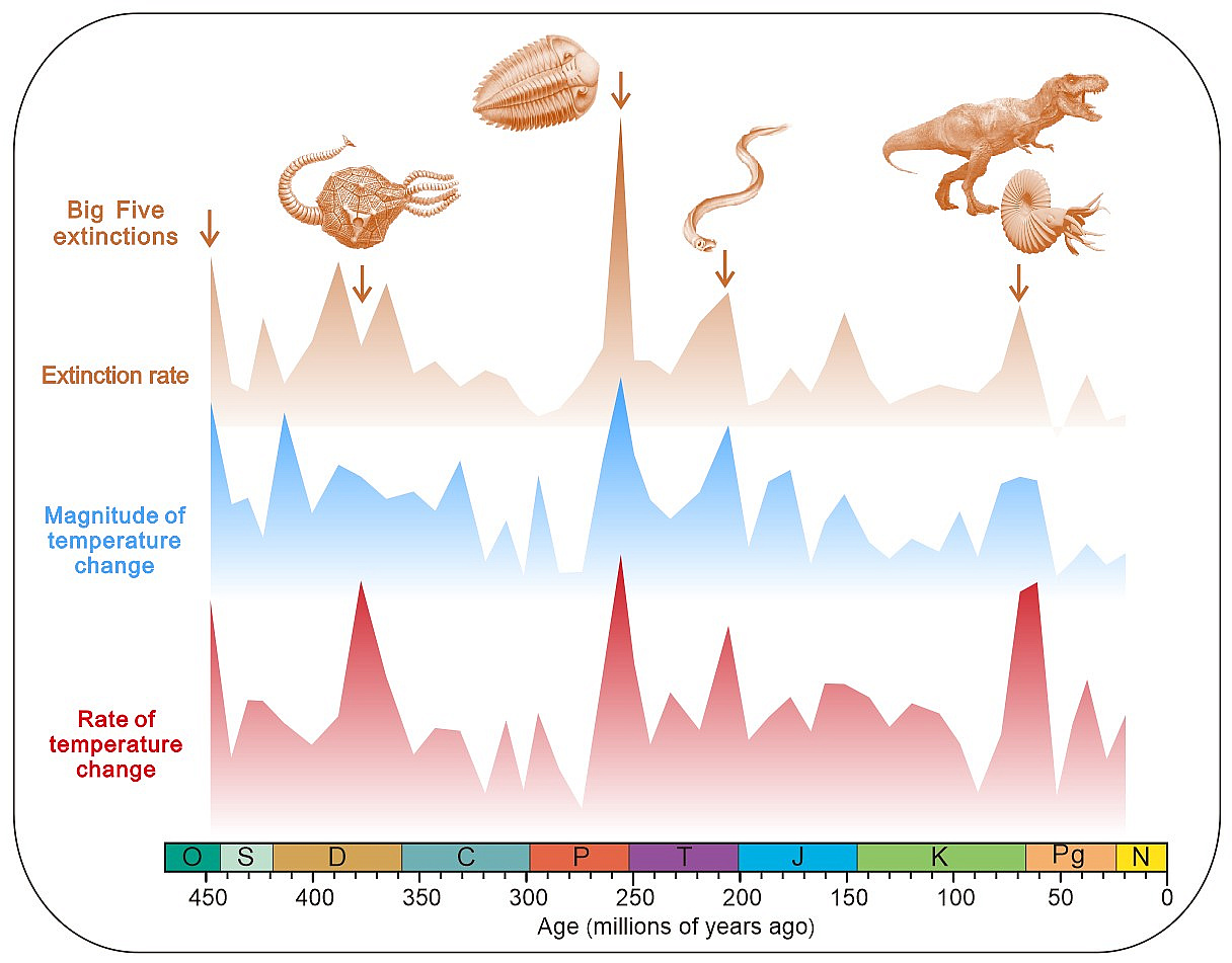 uao1ik5os8g4nro4gds2_003