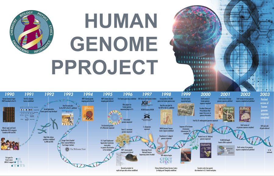 22) The Human Genome Project Debunks&nbsp;Evolution